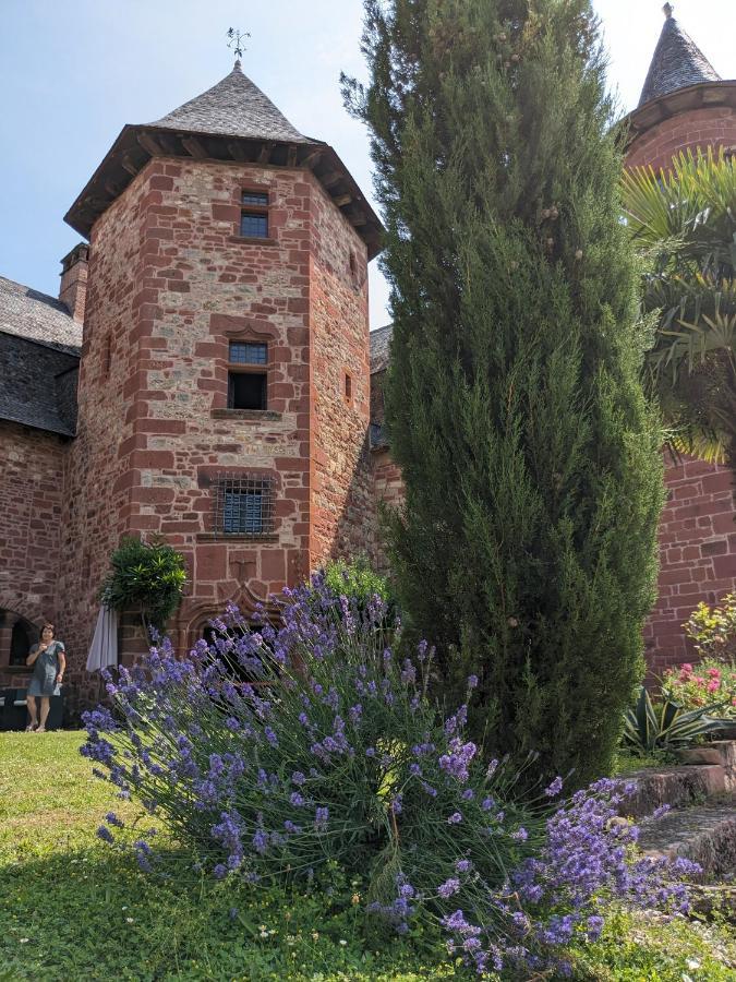 Chateau De Vassinhac Chambres D'Hotes Collonges La Rouge Eksteriør bilde